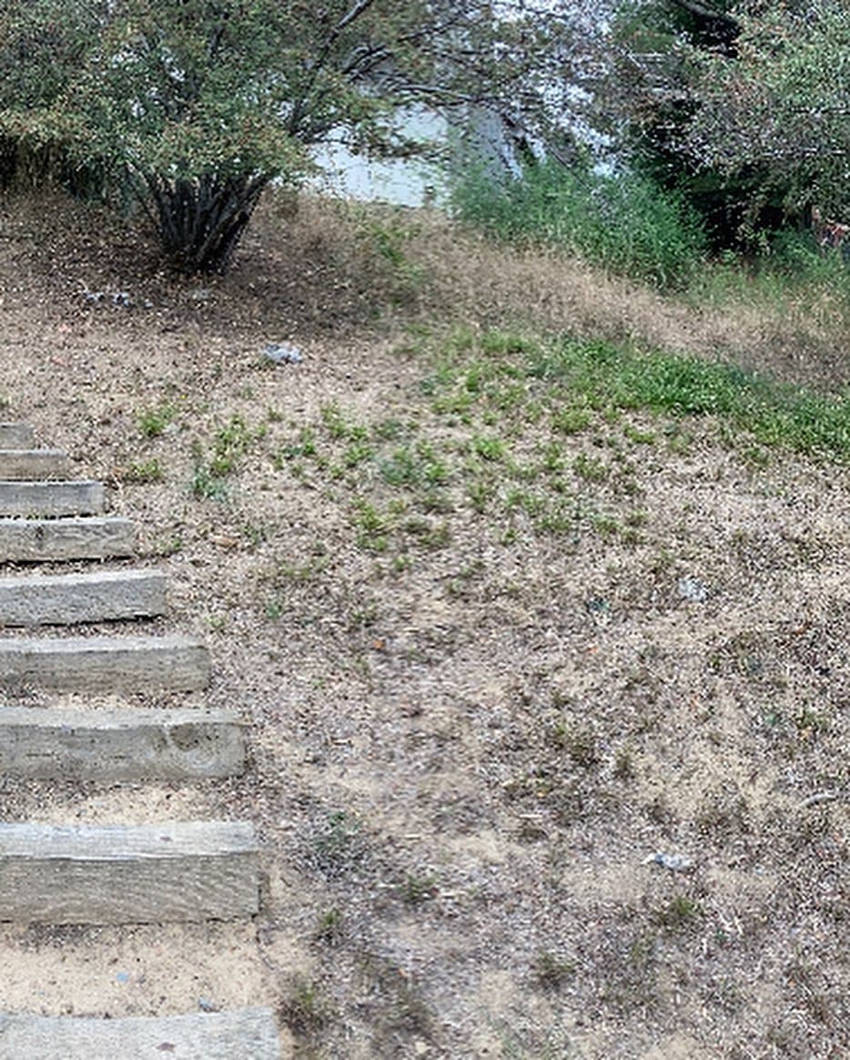 Property before landscaping, the starting point